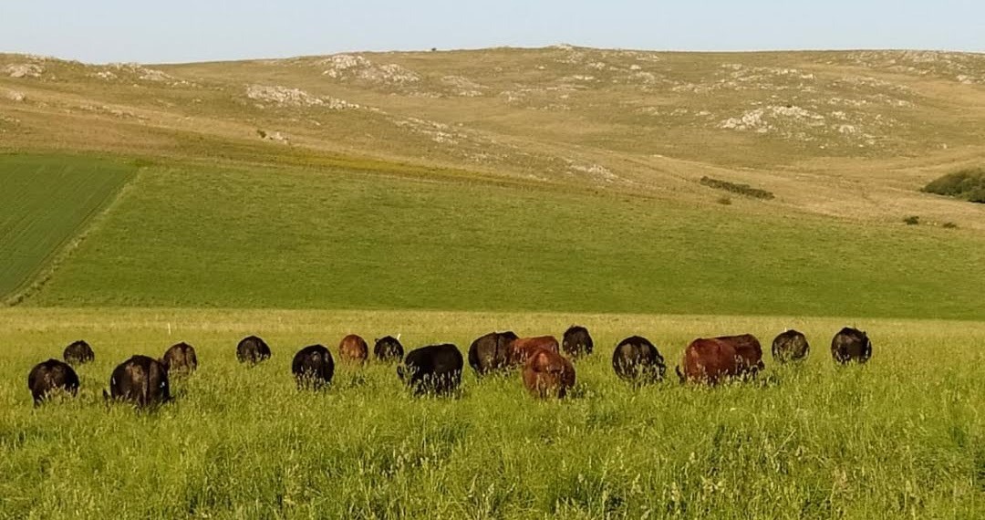 Imagen-de-WhatsApp-2024-06-17-a-las-20.28.20_786938d9-1