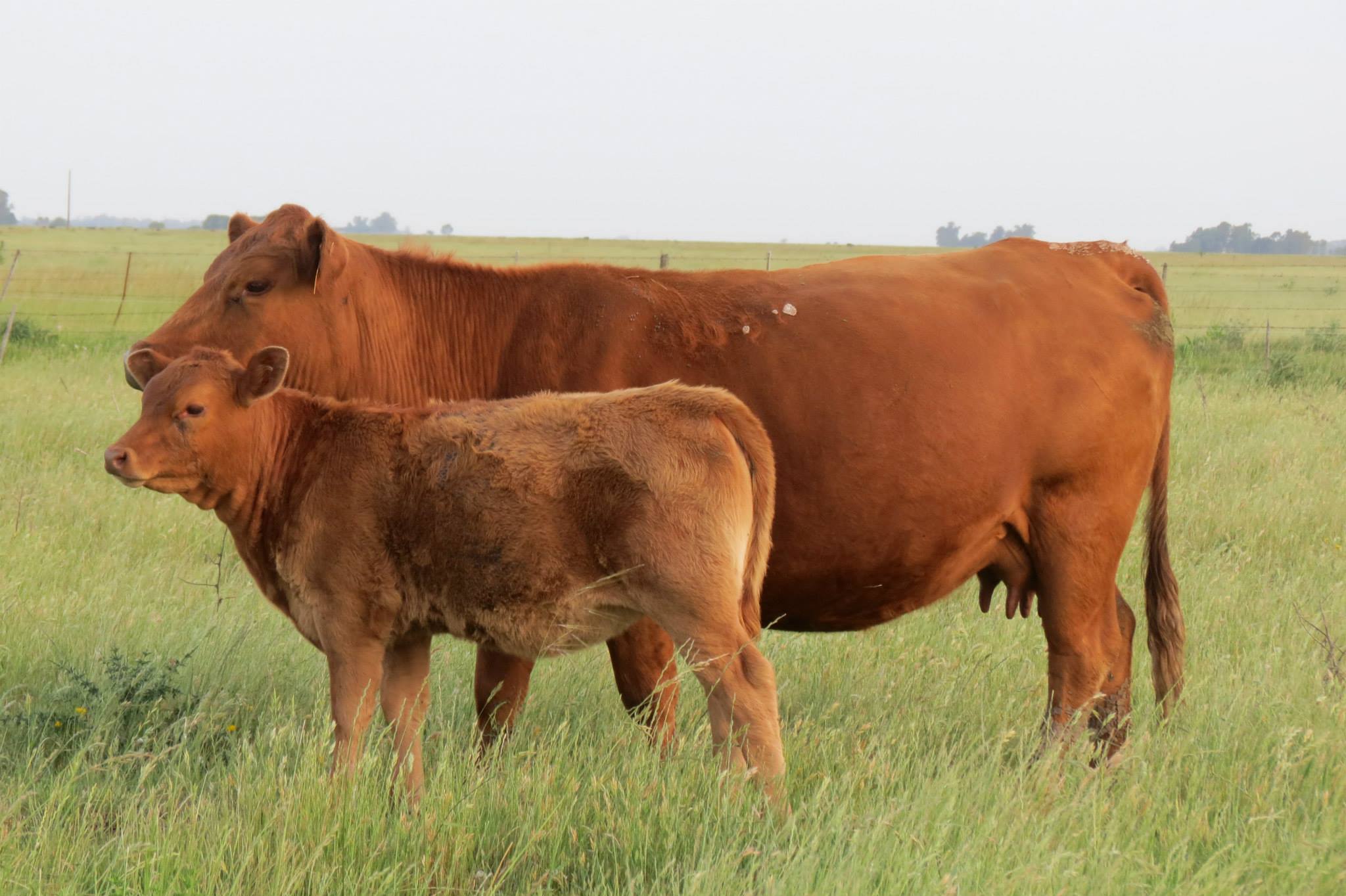 1412462_597619410286364_572468275_o